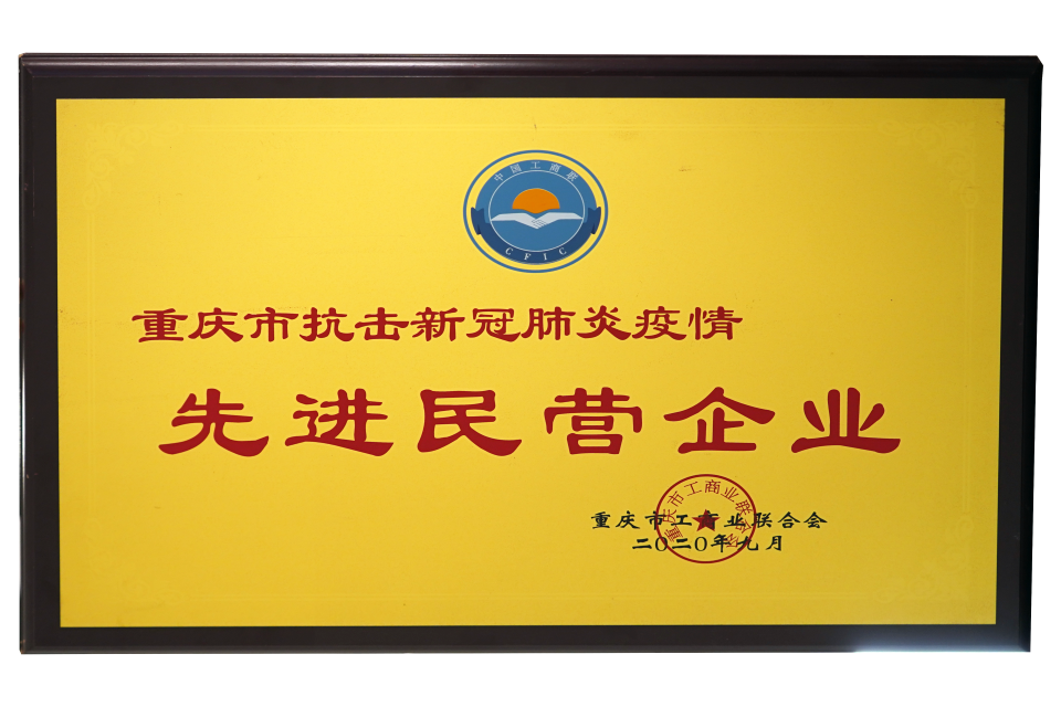 2020年荣获【先进民营企业】