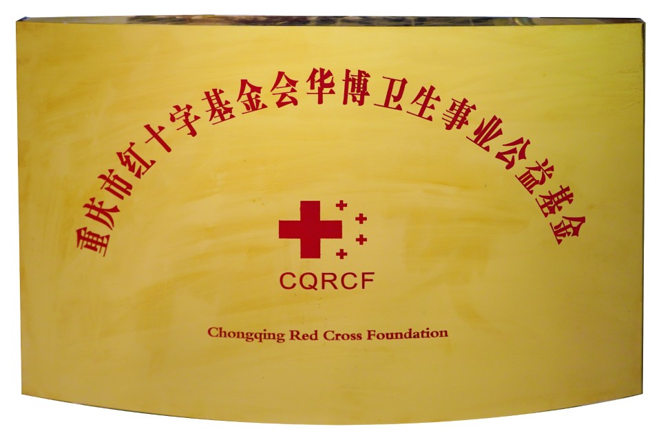 成立华博卫生事业公益基金