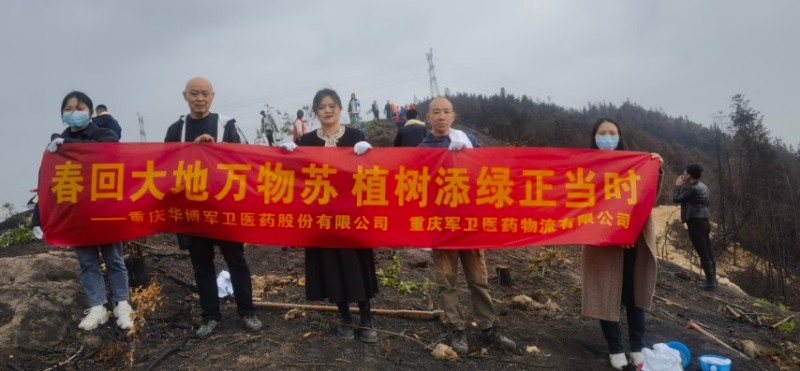 山火后植树造林活动