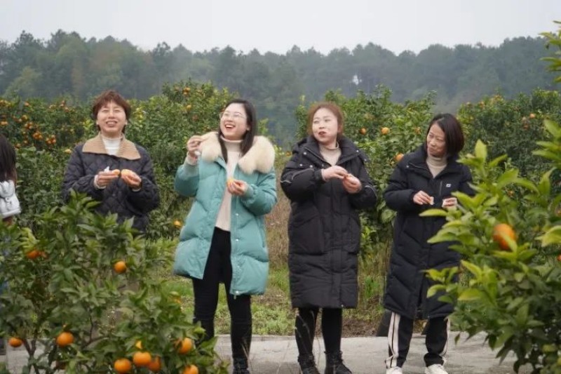 女神节/妇女节“南湖多彩植物园”春游活动